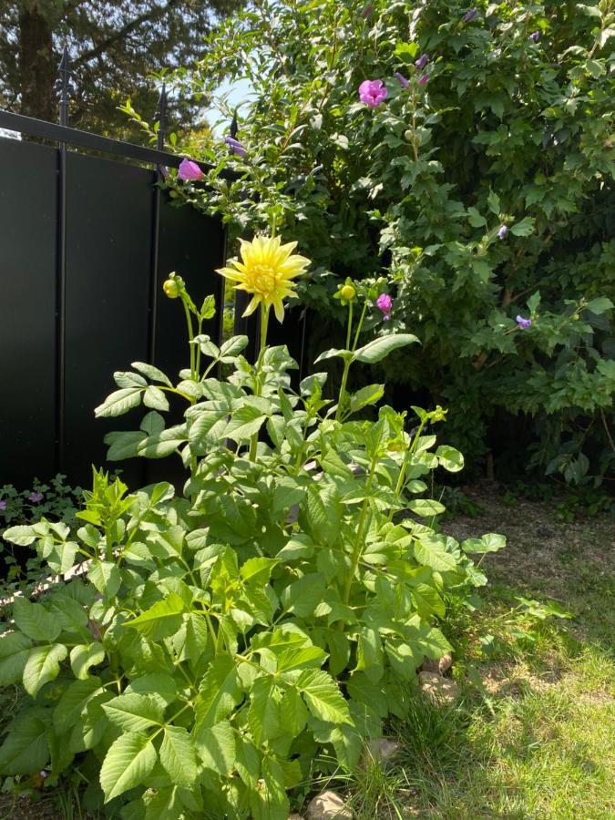 La Joannassiene, Maison Ardechoise De Caractere Eksteriør billede